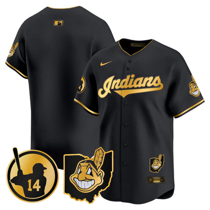 Cleveland Indians Larry Doby Patch Vapor Premier Limited Jersey - All Stitched