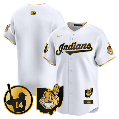 Cleveland Indians Larry Doby Patch Vapor Premier Limited Jersey - All Stitched